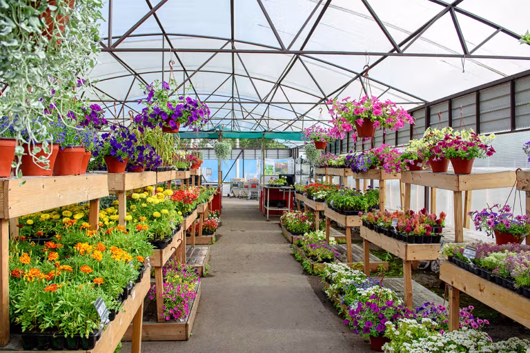 Garden Centers grow with NCR Voyix Counterpoint and C&K Systems